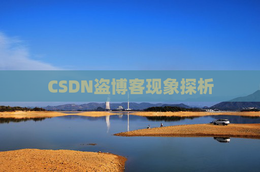 CSDN盗博客现象探析 CSDN盗博客现象探析